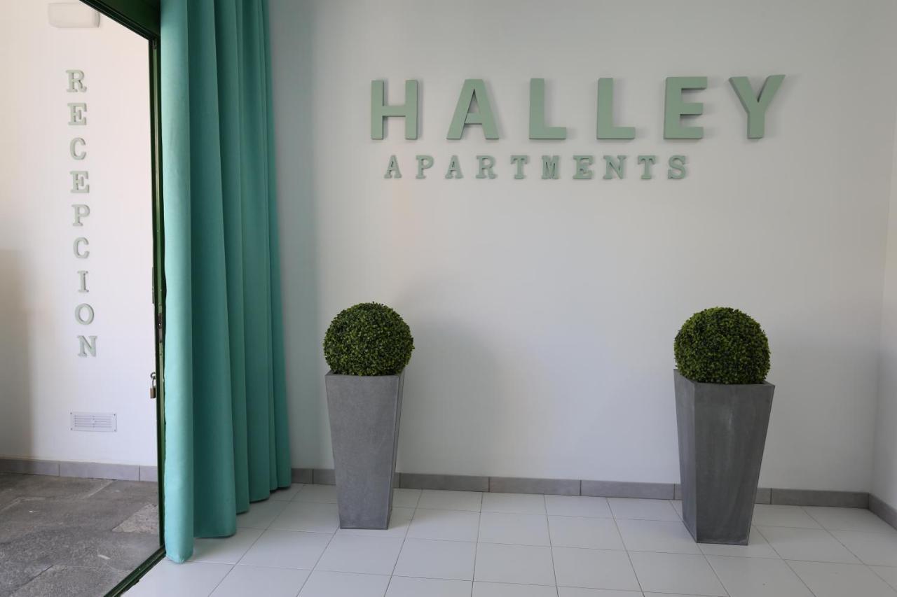Halley Rooms Mogán Extérieur photo